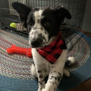 Meet your Posher, Rachael